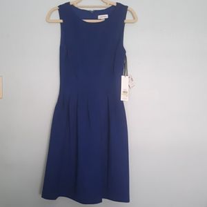 Blue dress